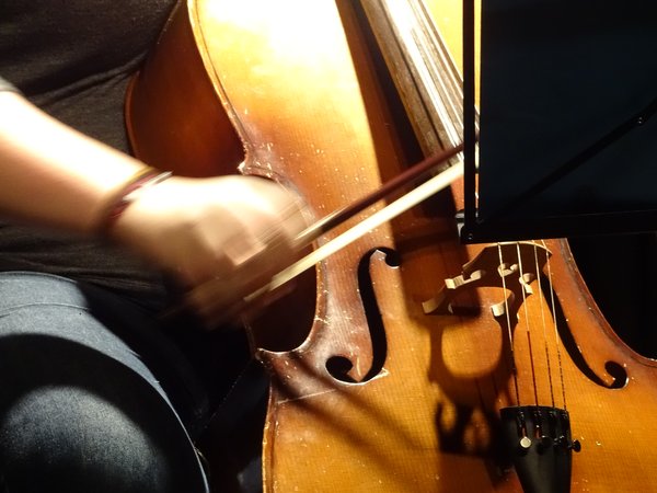 Nahaufnahme eines Cellospiels. Foto: Stadt Oldenburg Nahaufnahme eines Cellospiels. Foto: Stadt Oldenburg